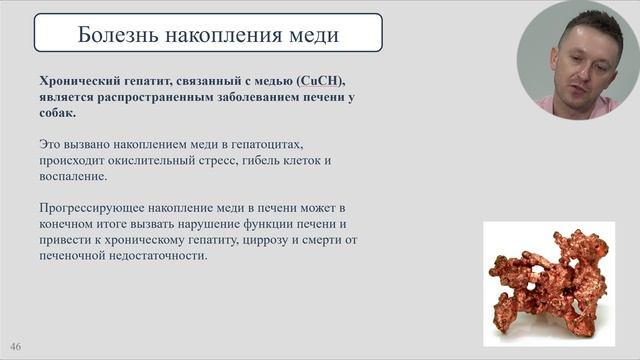 Гепатит у собак и кошек