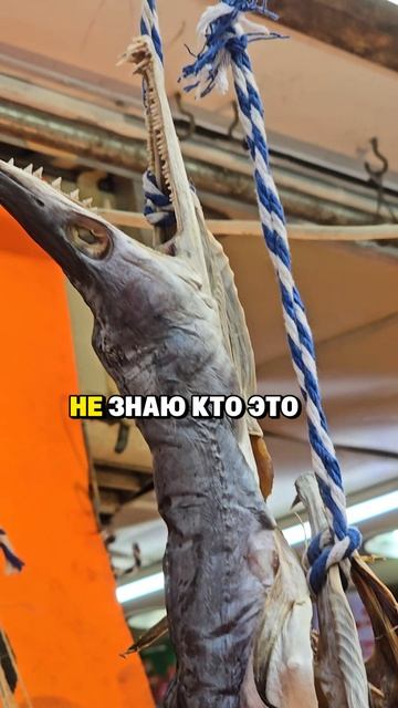 страшные рыбы #гонконг