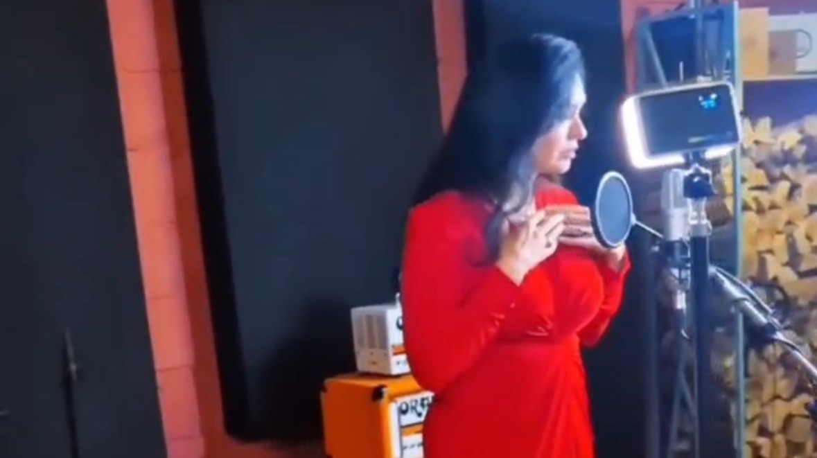 Мой абсолют кавер ANEYA