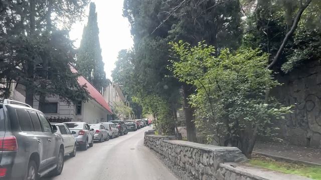 Ялта. С Ломоносова на Гоголя, Володарского, вверх по Сеченова, Достоевского, Сосновую ул. 11.11.25.