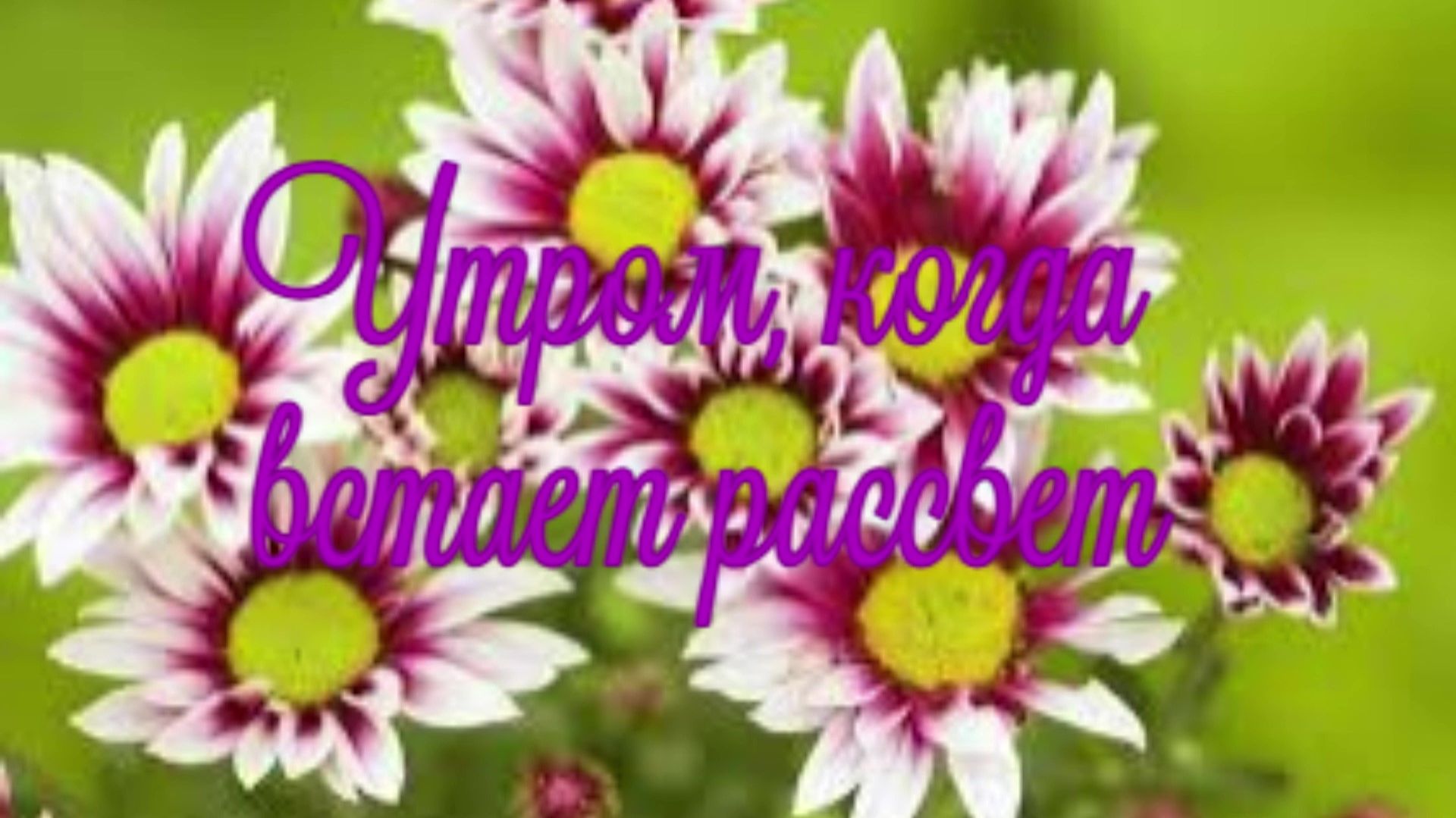 Утром, когда встает рассвет