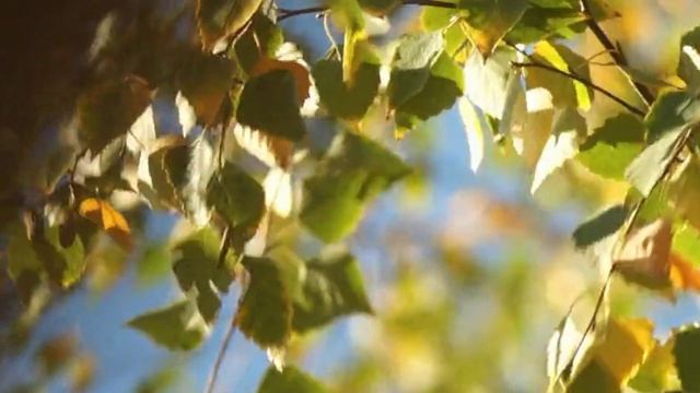 Все проходит - ст. Юрий Левитанский