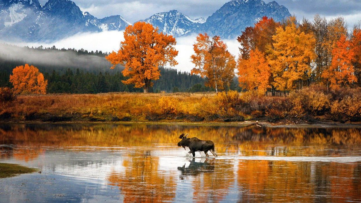 ОСЕНЬ-стихи С.Новикова,мастеринг В.Малахова.монтаж В.Зубковой
