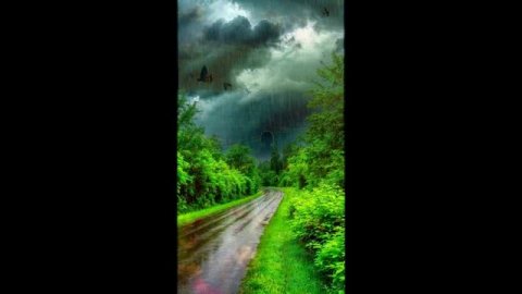 Альбом _Мягко приближается осень_ 2025 год.