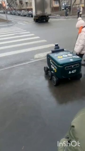 Самый аккуратный пешеход