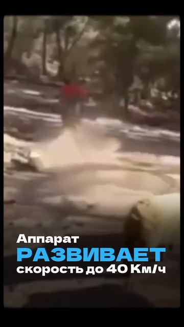 Что получится если скрестить квадроцикл с кабаном?