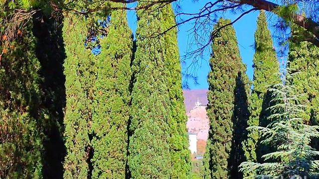 Фороский парк в конце ноября