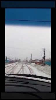 Покупка козочки.