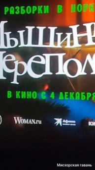 Мышиный переполох. Деструктивный и абсурдно глупый 🍎 #searuss #мисхорскаягавань