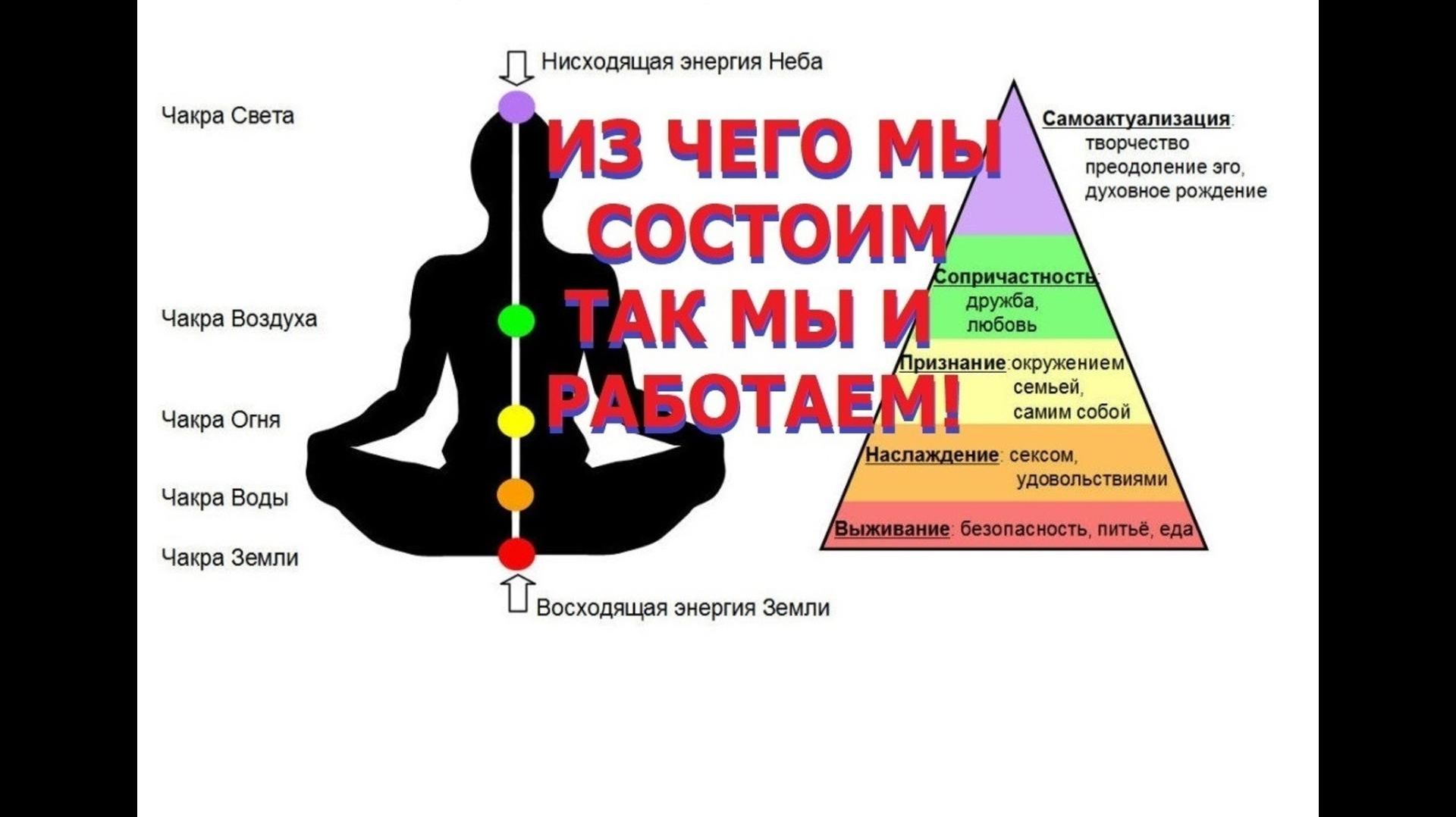 ИЗ ЧЕГО ВЫ СДЕЛАНЫ