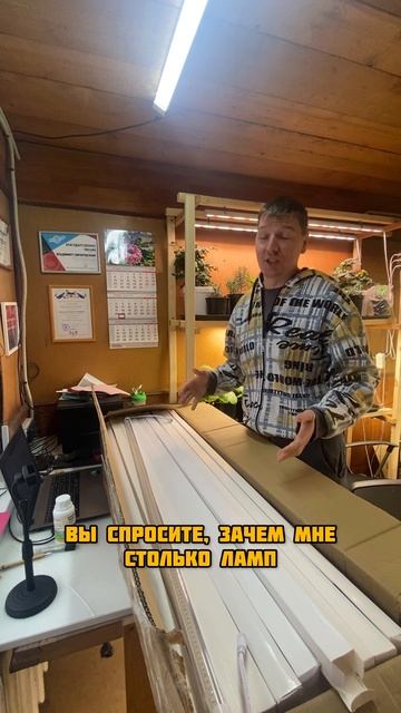 Новые лампы