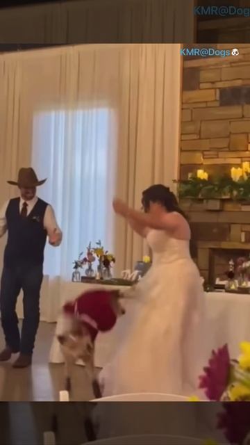 Заводной тамада🕺😂