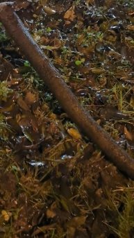 вечер,дождик ☔