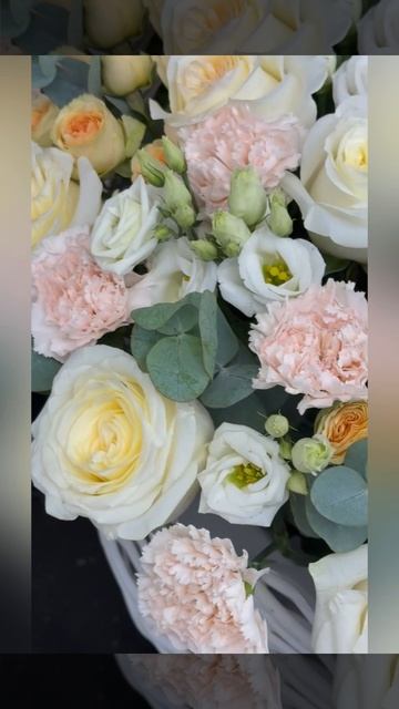 Трепет момента