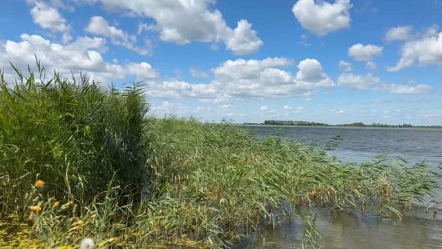 🎼. «Смуглянка» - Хор им.Александрова А.В.
