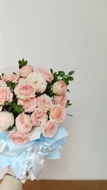 композиция