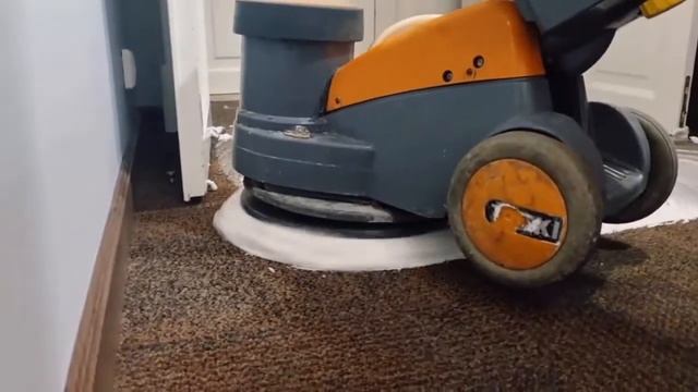 Химчистка ковролина