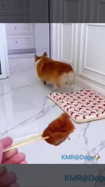 Обидно и досадно😡😂