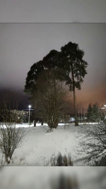 16.12.2024❄️Для тех кто любит зиму!🌬Светогорск!🌡-12°