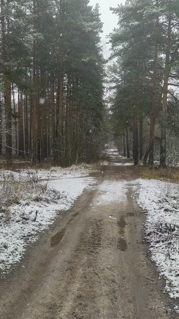 Первый снег