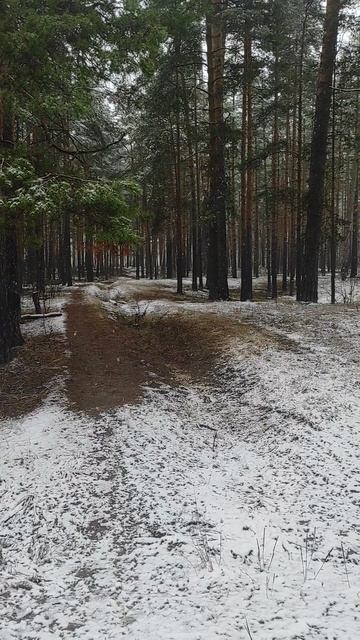 Первый снег