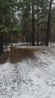 Первый снег