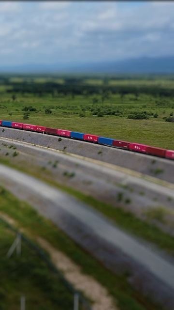 Поиграли бы в такую железную дорогу?