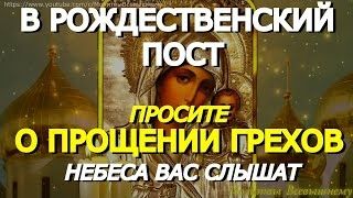 Важная молитва в дни Рождественского Поста. Просите Богородицу о прощении грехов. Небеса вас слышат