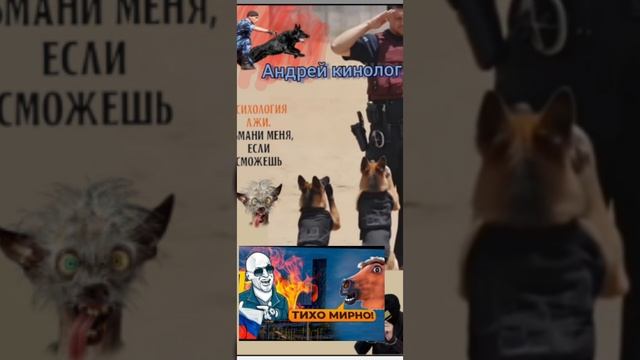 На балалайке болобонел.