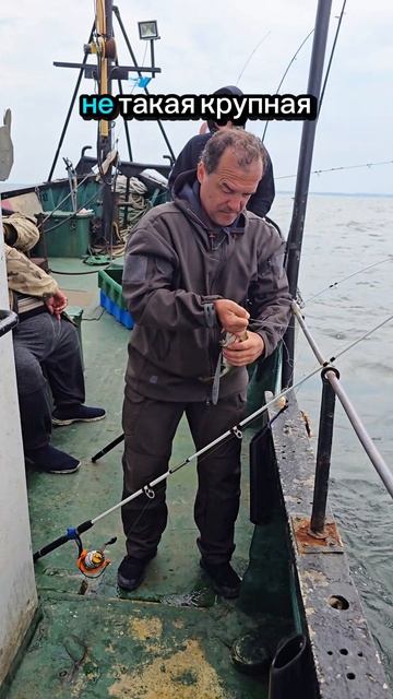 ловим треску...кто первый поймал, тому и завидуют)) #рыбалкатреска