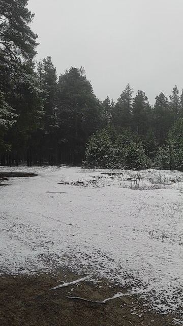 Первый снег