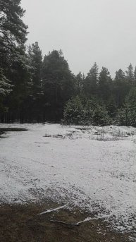 Первый снег