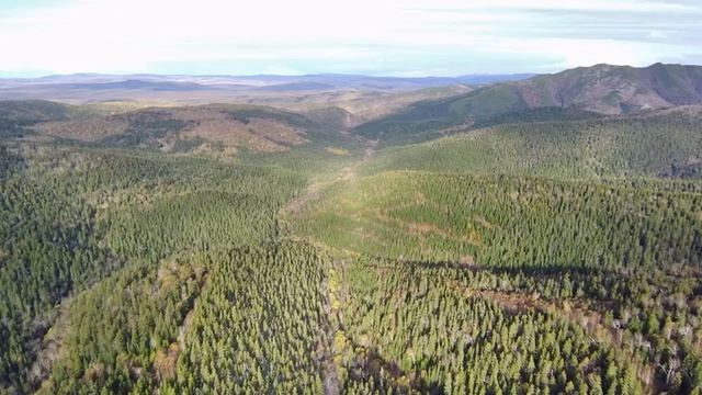 Осенние краски Сахалина