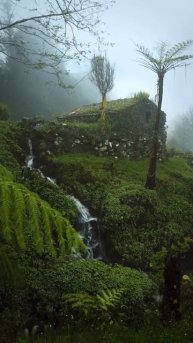 Природа никуда не спешит