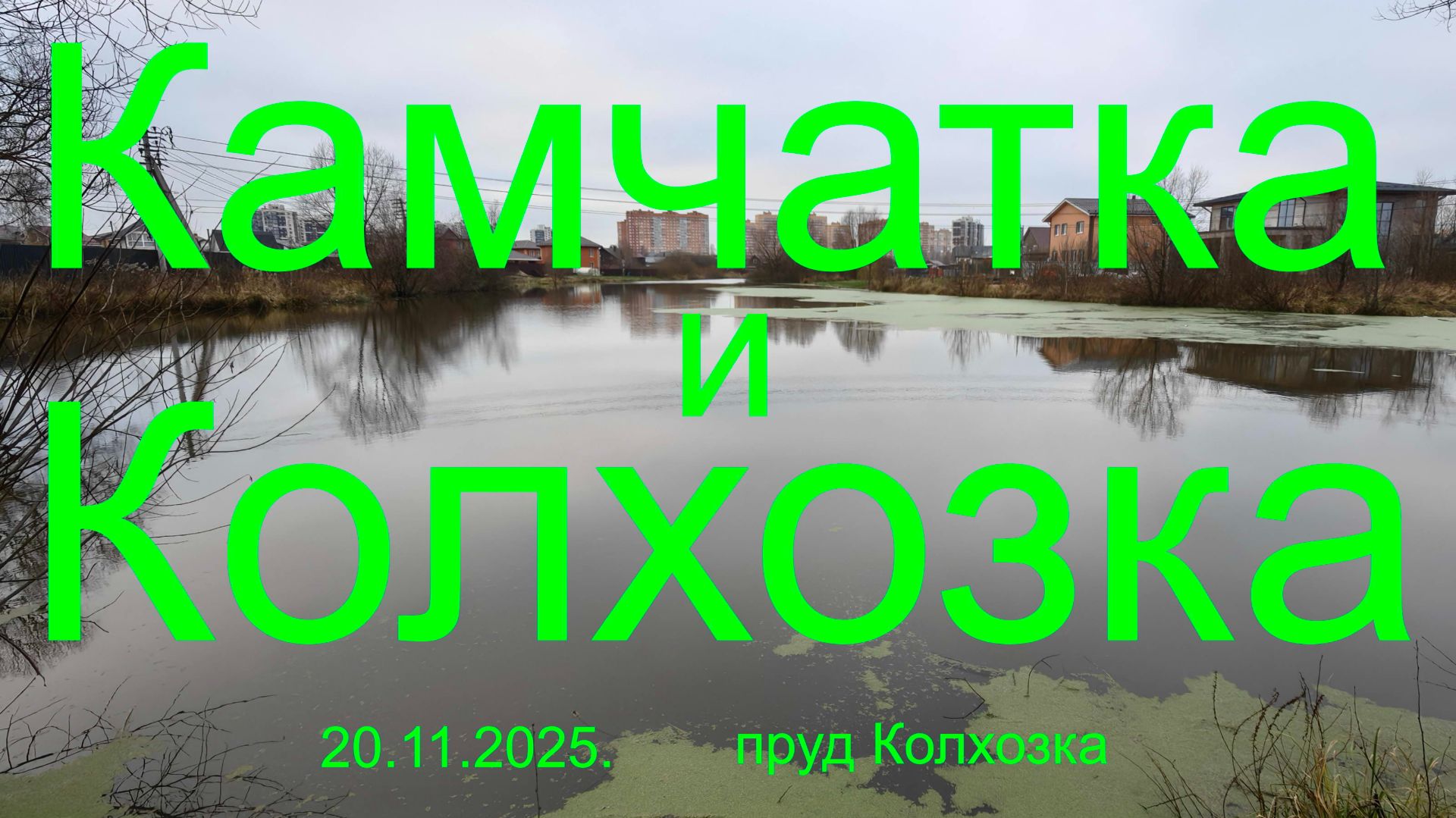 Камчатка и Колхозка. 2 в 1. 20-23.11.2025г. пруд Колхозка. Рыбалка в Подмосковье.