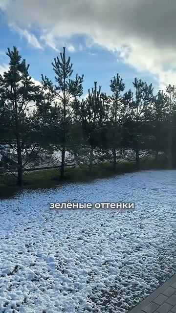 фэншуй дома #бацзы #фэншуй #натальнаякарта #астрология