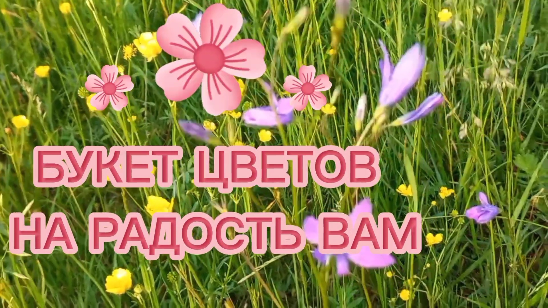 БУКЕТ ЦВЕТОВ луговых на радость вам.Птицы поют.