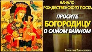 В Рождественский Пост просите Богородицу о самом важном пред иконой _Благоуханный цвет_