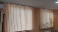 Вертикальные жалюзи персикового цвета для оформления оконных проемов в офисном помещении.