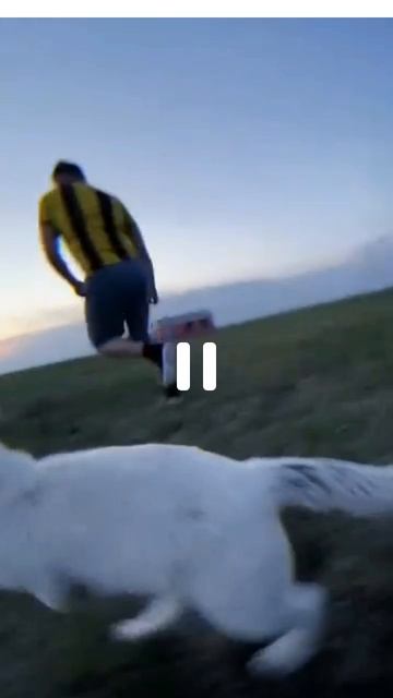 Как бежит Камила😻