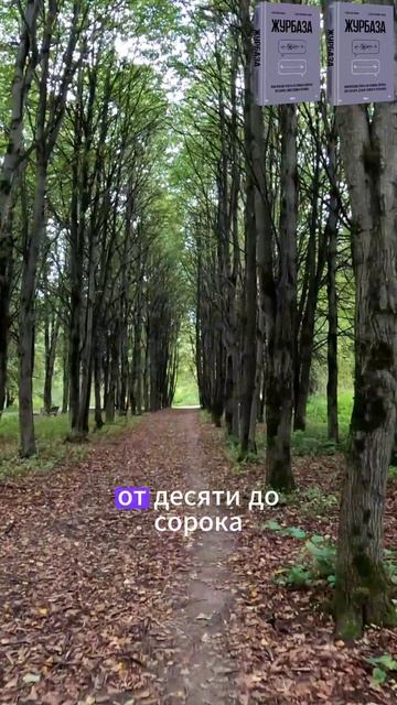 Про большие деньги в найме(3)