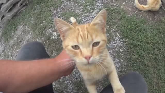 ЖИВЕМ В ДЕРЕВНЕ! ПОГОДА ПОРТИТСЯ! СТРОИМ ФУНДАМЕНТ ПОД ЗАБОР!!