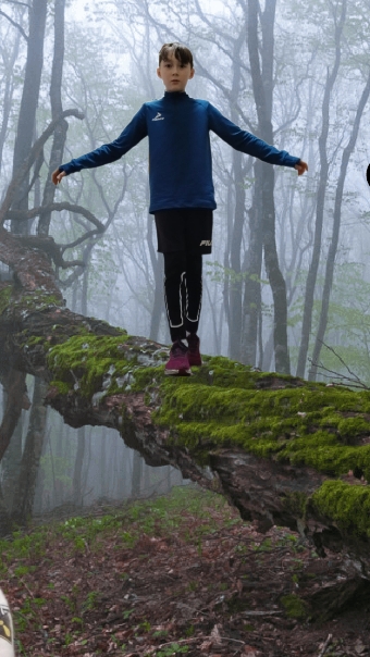 Приехали в лес