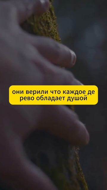 «Тайна деревенского покоя: почему деревья лечат души лучше психологов?»