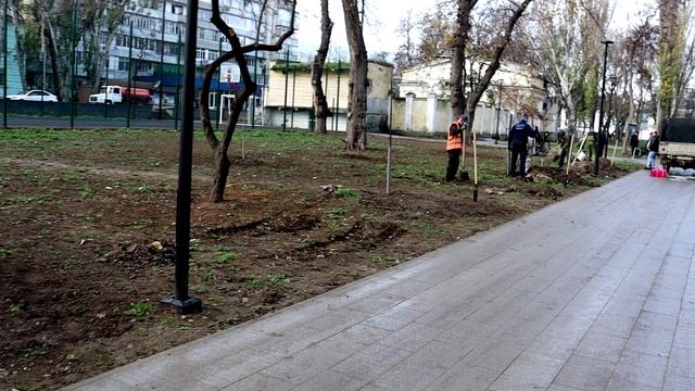 В Феодосии на месте разрушенного Собора Святого Александра Невского высадили деревья.