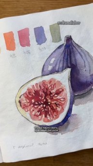 Инжир акварелью