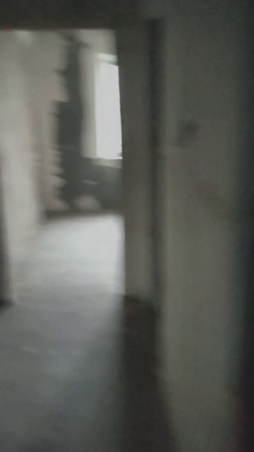 document_5280833165705907266