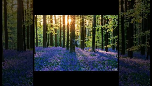 Призови Христа, о грешный