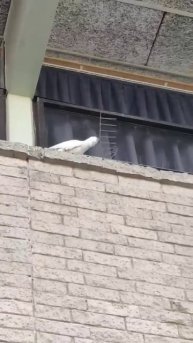 Такой концовки я и сам не ожидал (79)