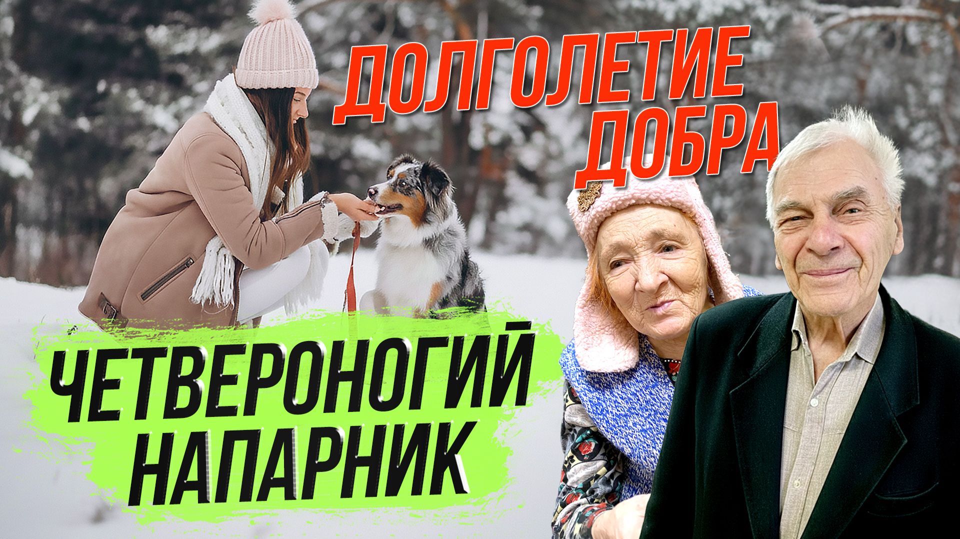 Четвероногий напарник / Долголетие добра | СТРИМ ОТС LIVE — 28 ноября